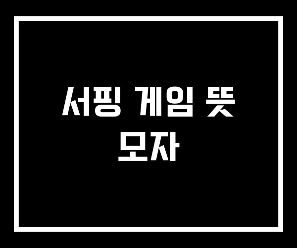 서핑 게임 뜻 모자