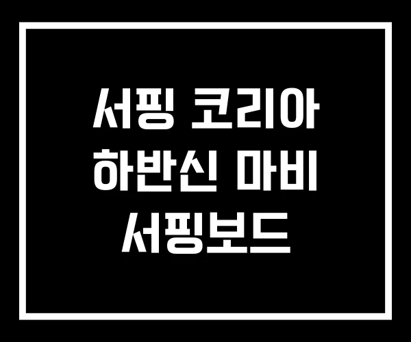 서핑 코리아 하반신 마비 서핑보드