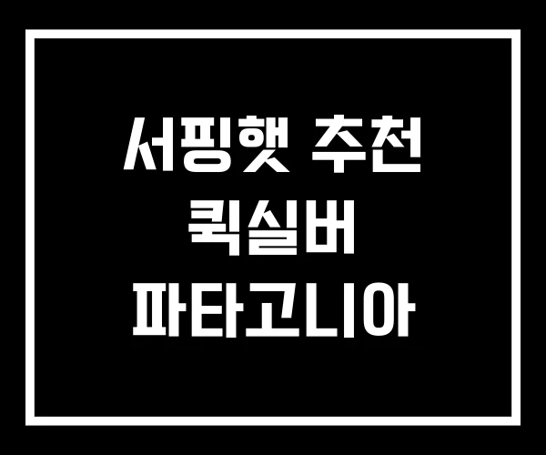 서핑햇 추천 퀵실버 파타고니아