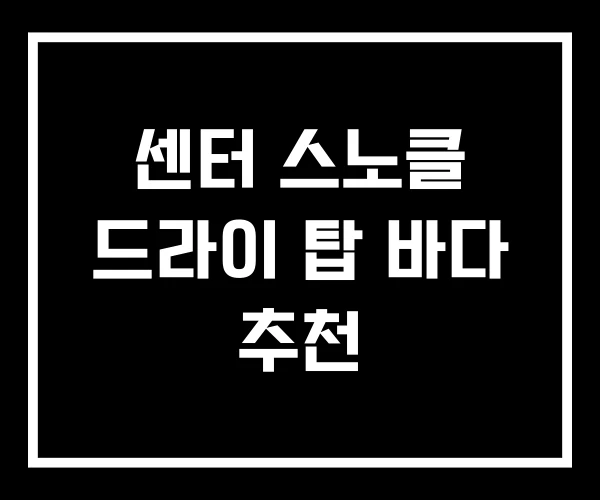 센터 스노클 드라이 탑 바다 추천