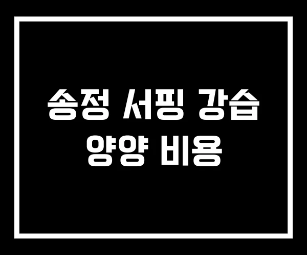송정 서핑 강습 양양 비용