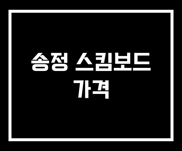 송정 스킴보드 가격