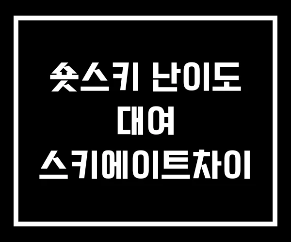 숏스키 난이도 대여 스키에이트차이