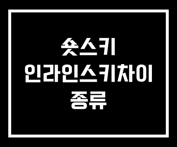 숏스키 인라인스키차이 종류