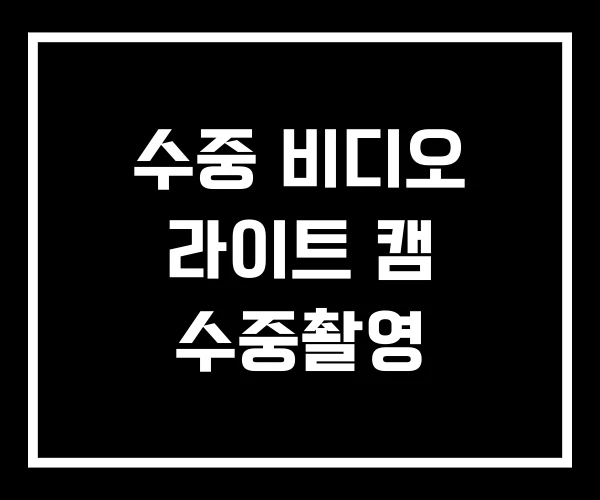 수중 비디오 라이트 캠 수중촬영 수중 비디오 라이트 캠 수중촬영