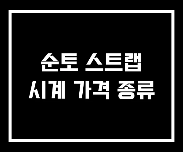 순토 스트랩 시계 가격 종류