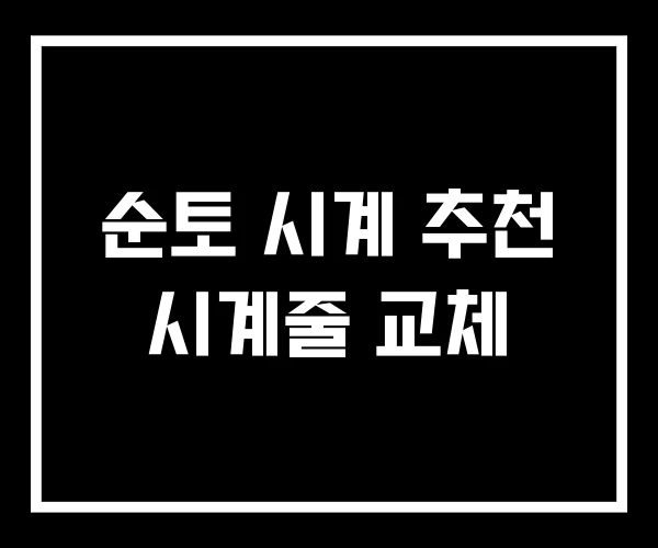순토 시계 추천 시계줄 교체