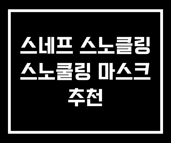 스네프 스노클링 스노쿨링 마스크 추천