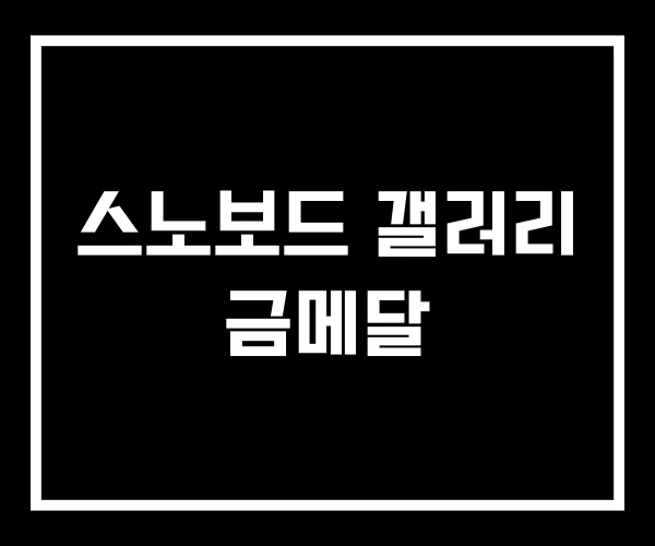 스노보드 갤러리 금메달