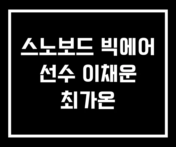 스노보드 빅에어 선수 이채운 최가온