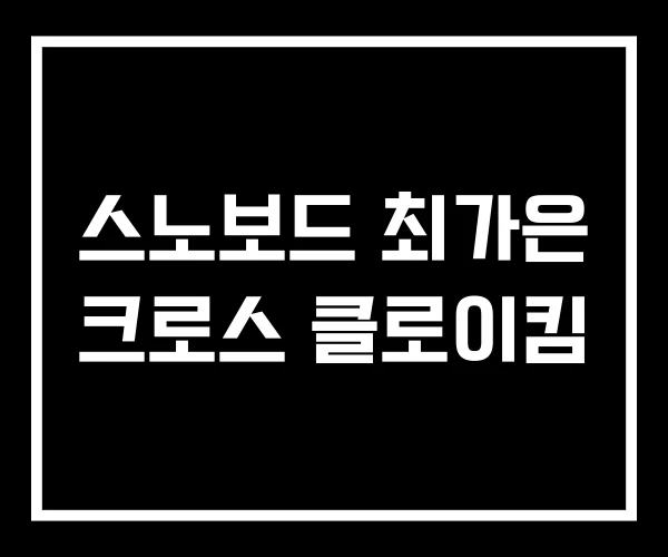 스노보드 최가은 크로스 클로이킴