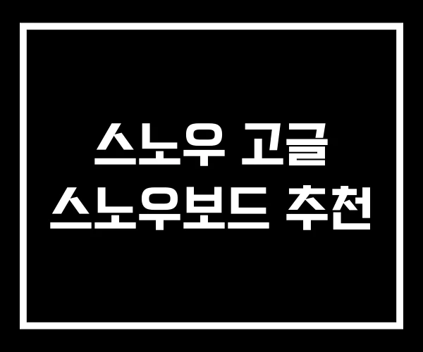 스노우 고글 스노우보드 추천 스노우 고글 스노우보드 추천