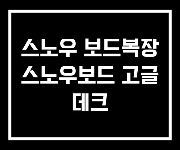 스노우 보드복장 스노우보드 고글 데크