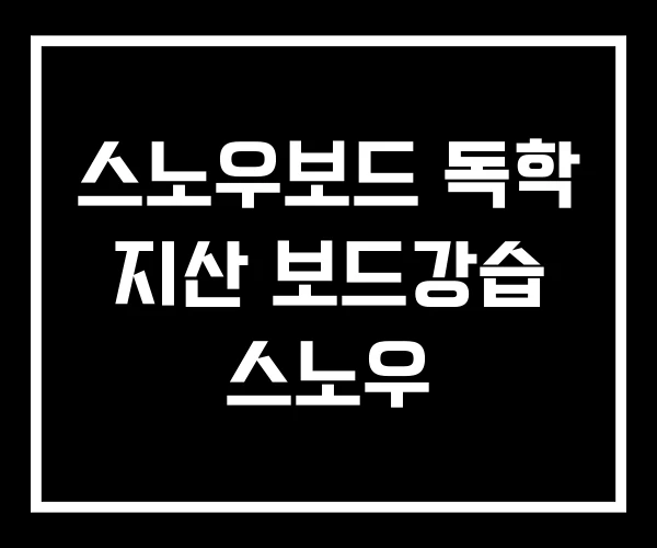 스노우보드 독학 지산 보드강습 스노우 스노우보드 독학 지산 보드강습 스노우