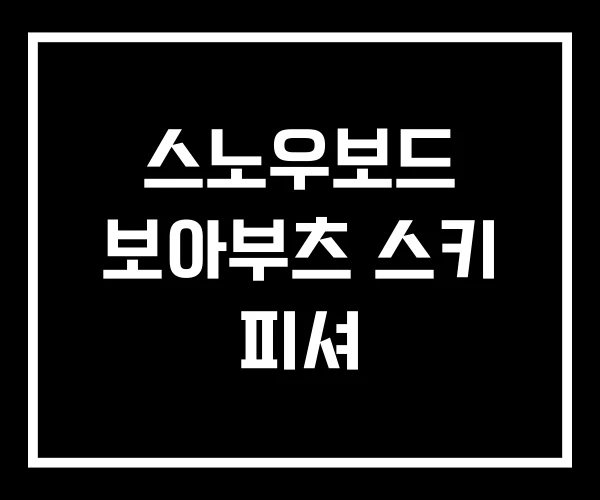 스노우보드 보아부츠 스키 피셔