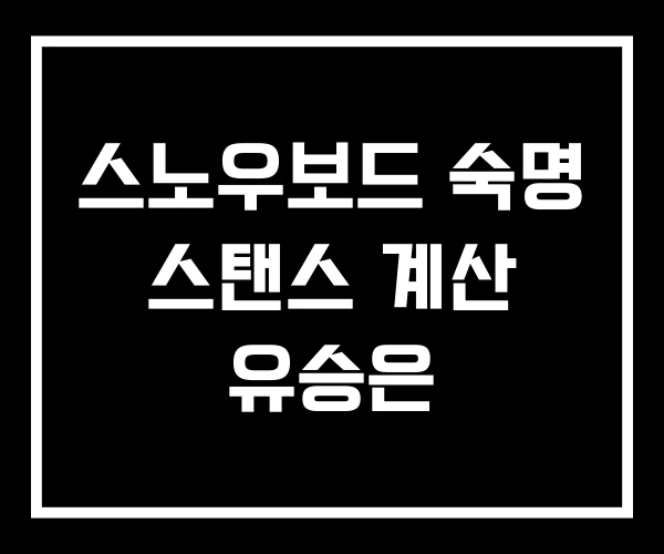 스노우보드 숙명 스탠스 계산 유승은