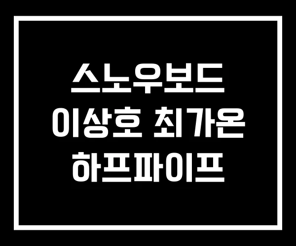 스노우보드 이상호 최가온 하프파이프