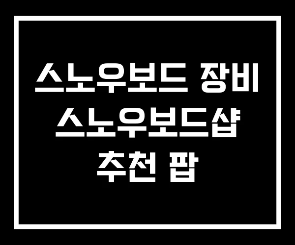 스노우보드 장비 스노우보드샵 추천 팝