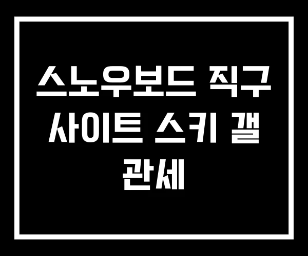 스노우보드 직구 사이트 스키 갤 관세