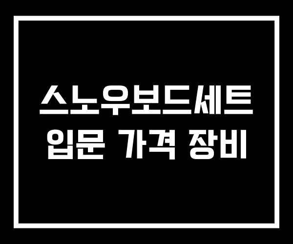 스노우보드세트 입문 가격 장비