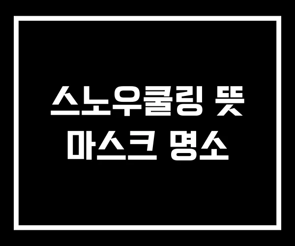 스노우쿨링 뜻 마스크 명소 스노우쿨링 뜻 마스크 명소