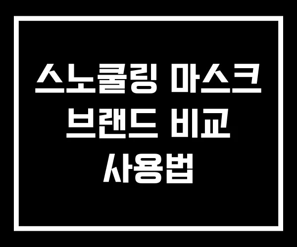스노쿨링 마스크 브랜드 비교 사용법
