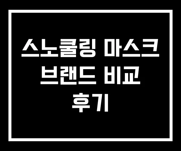 스노쿨링 마스크 브랜드 비교 후기