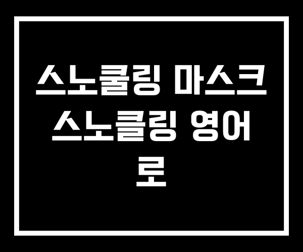 스노쿨링 마스크 스노클링 영어 로