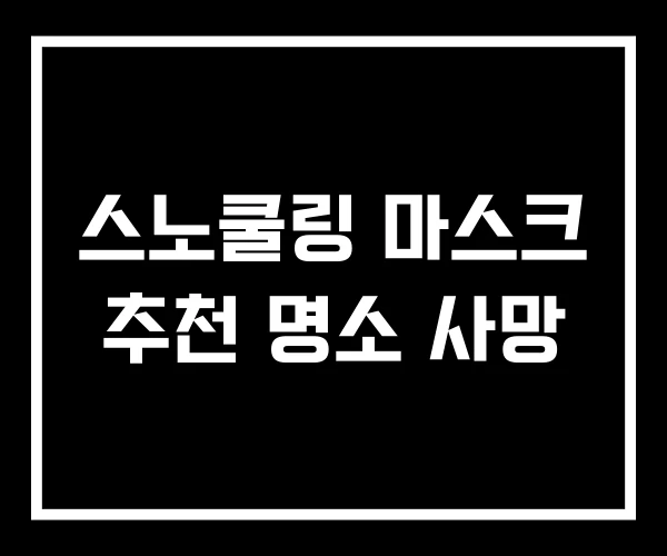 스노쿨링 마스크 추천 명소 사망 스노쿨링 마스크 추천 명소 사망