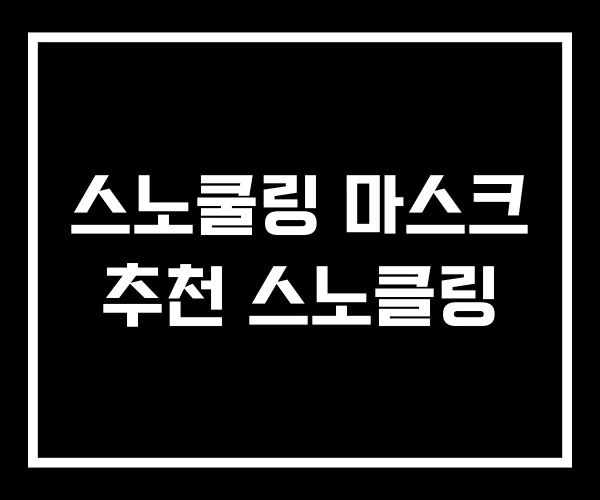 스노쿨링 마스크 추천 스노클링 스노쿨링 마스크 추천 스노클링