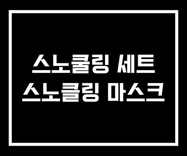 스노쿨링 세트 스노클링 마스크 스노쿨링 세트 스노클링 마스크