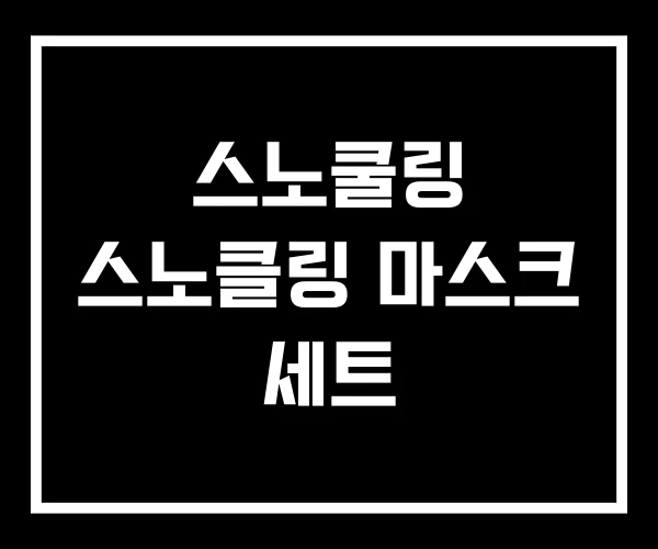 스노쿨링 스노클링 마스크 세트 스노쿨링 스노클링 마스크 세트