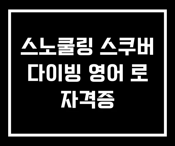 스노쿨링 스쿠버 다이빙 영어 로 자격증
