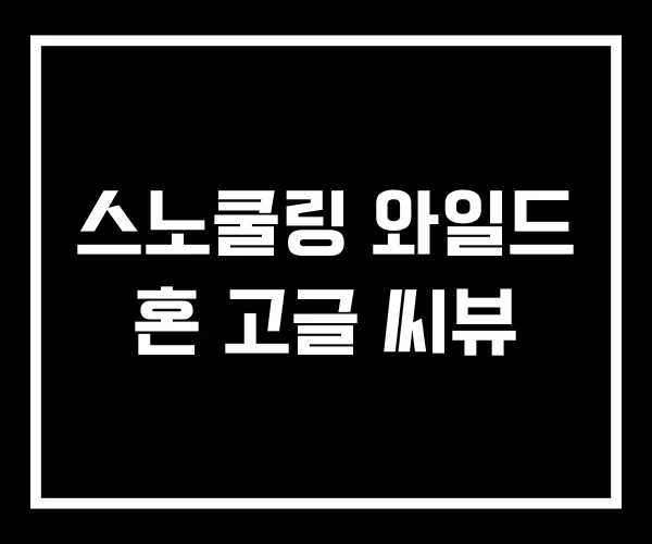 스노쿨링 와일드 혼 고글 씨뷰