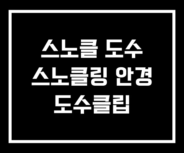 스노클 도수 스노클링 안경 도수클립