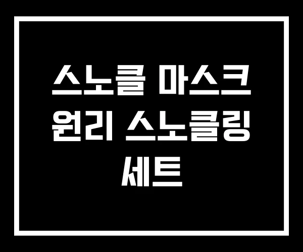 스노클 마스크 원리 스노클링 세트