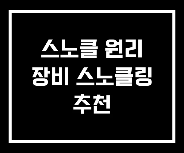 스노클 원리 장비 스노클링 추천