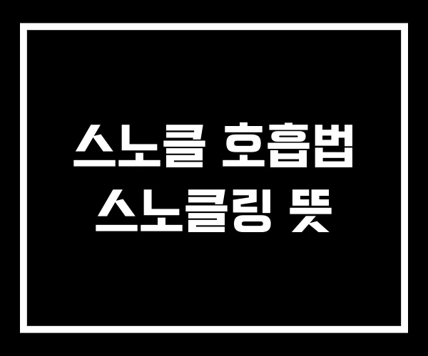 스노클 호흡법 스노클링 뜻
