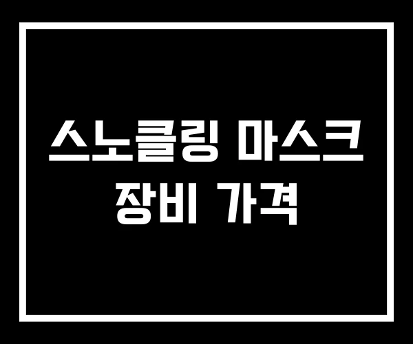 스노클링 마스크 장비 가격