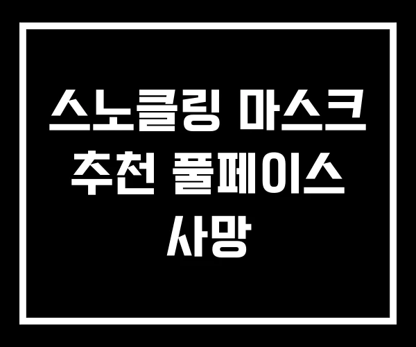 스노클링 마스크 추천 풀페이스 사망