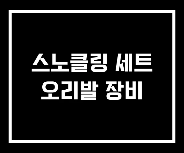 스노클링 세트 오리발 장비