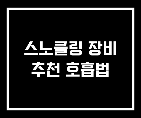 스노클링 장비 추천 호흡법 스노클링 장비 추천 호흡법