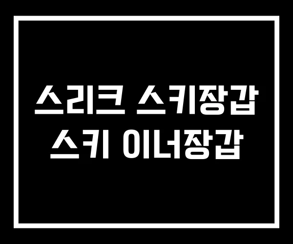 스리크 스키장갑 스키 이너장갑 스리크 스키장갑 스키 이너장갑