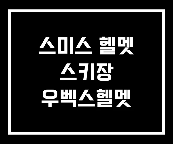 스미스 헬멧 스키장 우벡스헬멧 스미스 헬멧 스키장 우벡스헬멧