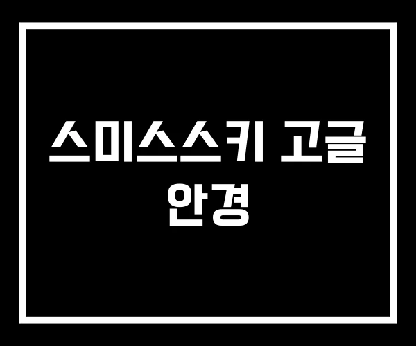 스미스스키 고글 안경 스미스스키 고글 안경