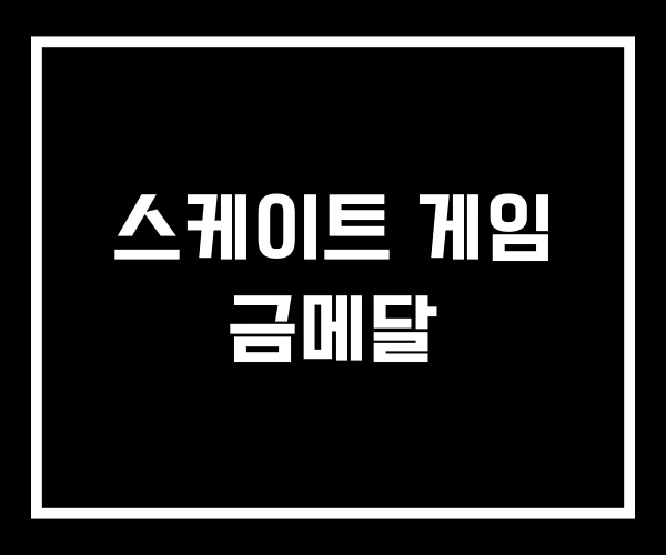 스케이트 게임 금메달