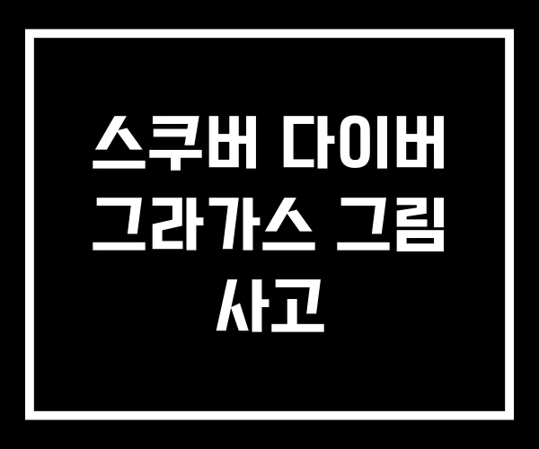 스쿠버 다이버 그라가스 그림 사고 스쿠버 다이버 그라가스 그림 사고