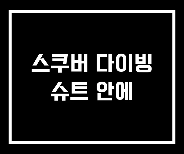 스쿠버 다이빙 슈트 안에