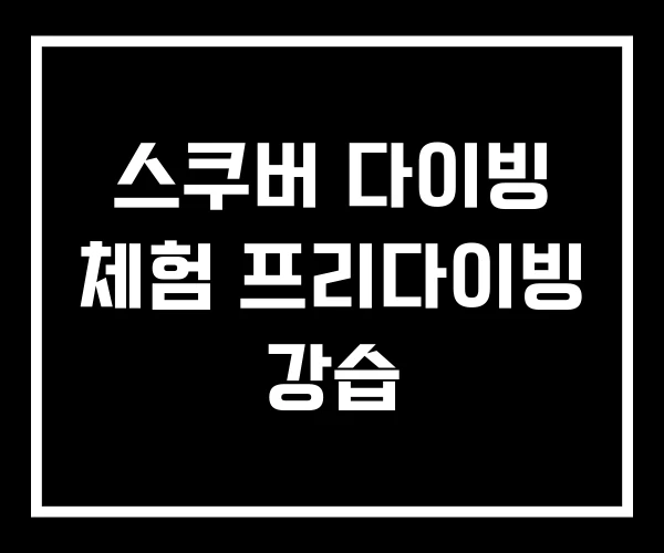 스쿠버 다이빙 체험 프리다이빙 강습