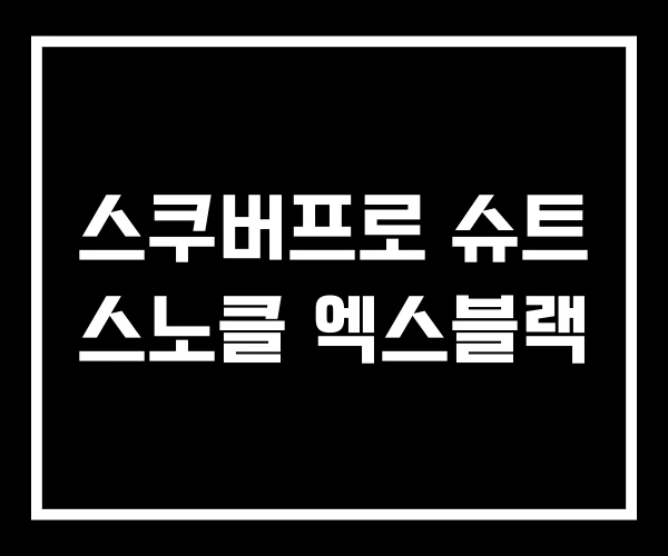 스쿠버프로 슈트 스노클 엑스블랙